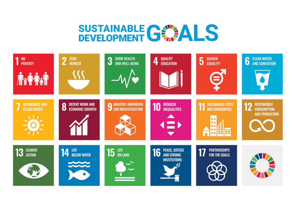 sustainable development goals Malawi, NGO malawi, Butterfly space nkhata bay, volunteer in Malawi, Corporate social responsibility
