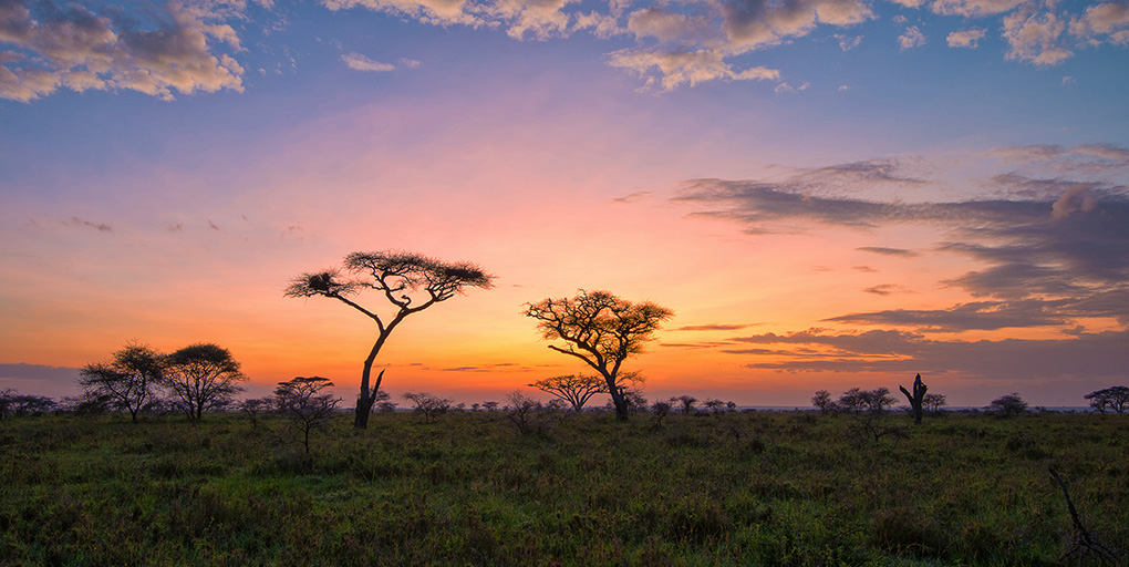 malawi sunset