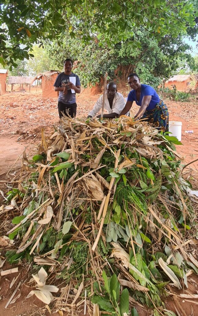 compost making workshops, sustainable development malawi, butterfly space community projects,