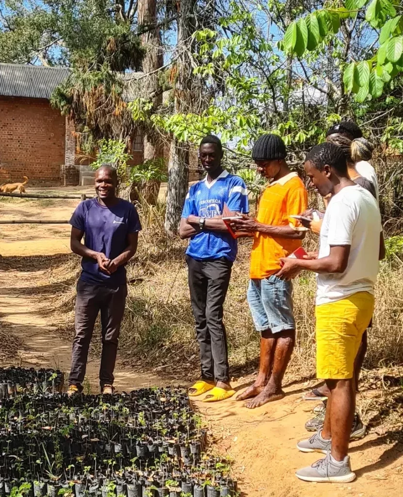 Reforestation projects in Malawi, butterfly space nkhata bay, Ntchisi forest, planting trees