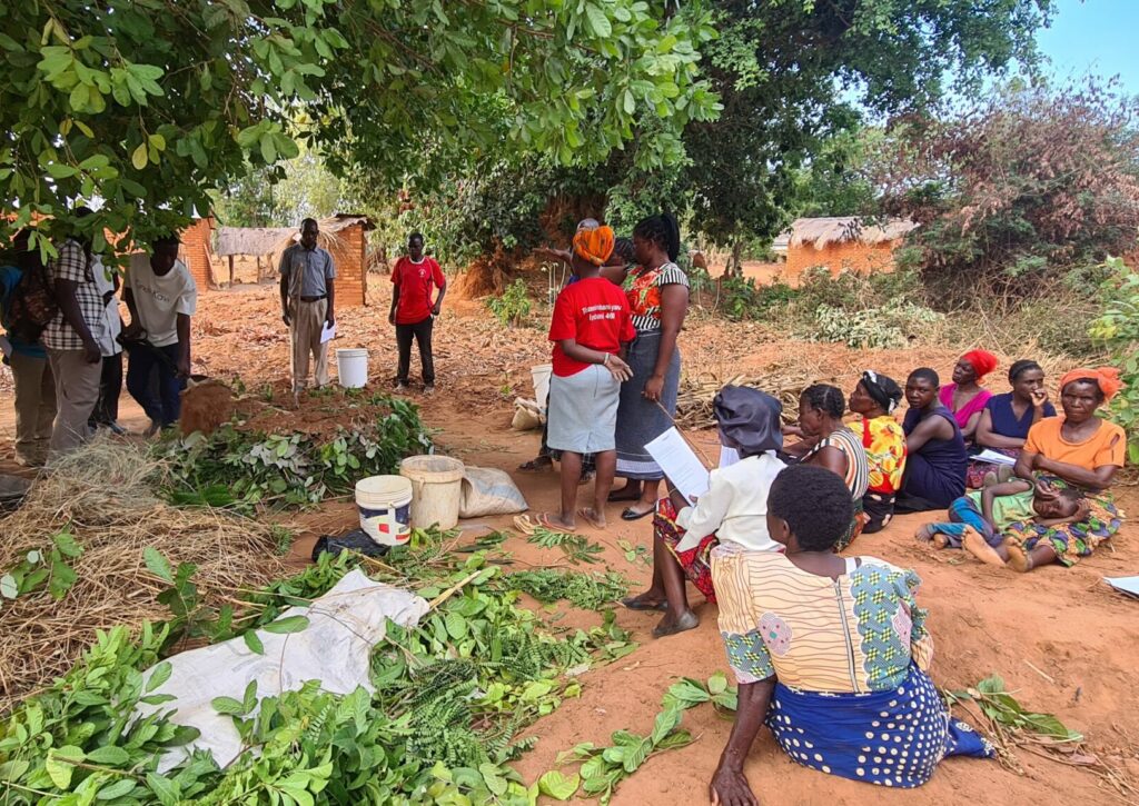 environmental demonstration, permaculture in malawi, butterfly space nkhata bay